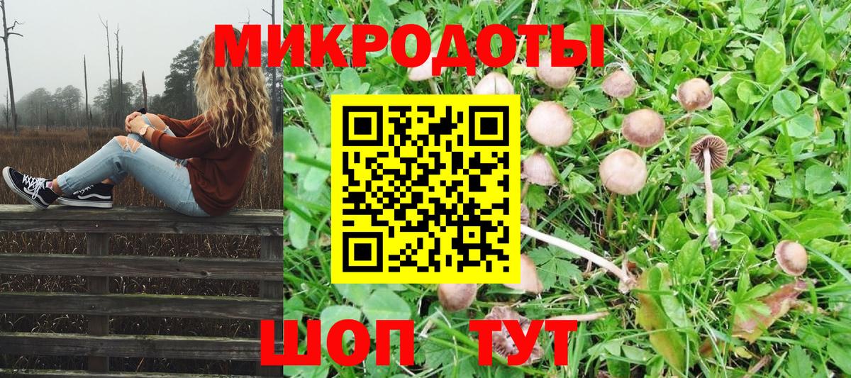 Галлюциногенные грибы Cubensis Волгодонск