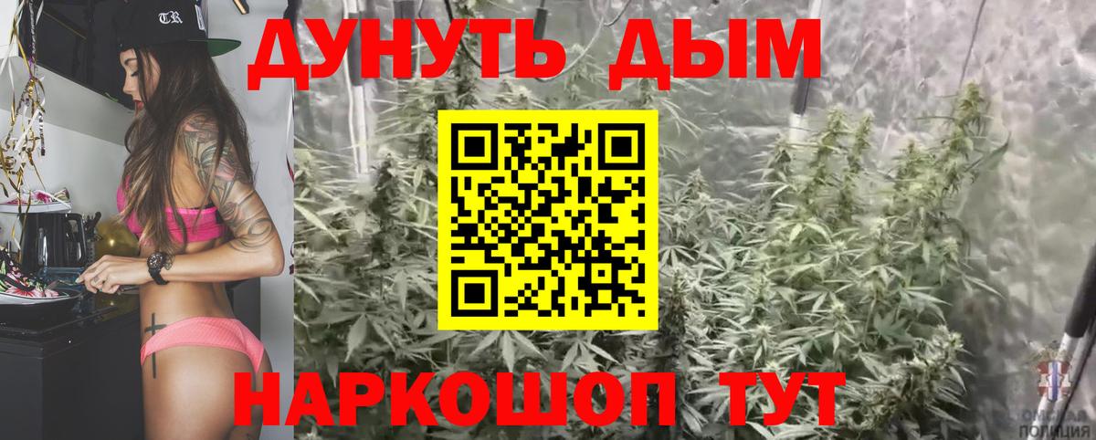 Бошки Шишки сатива Волгодонск
